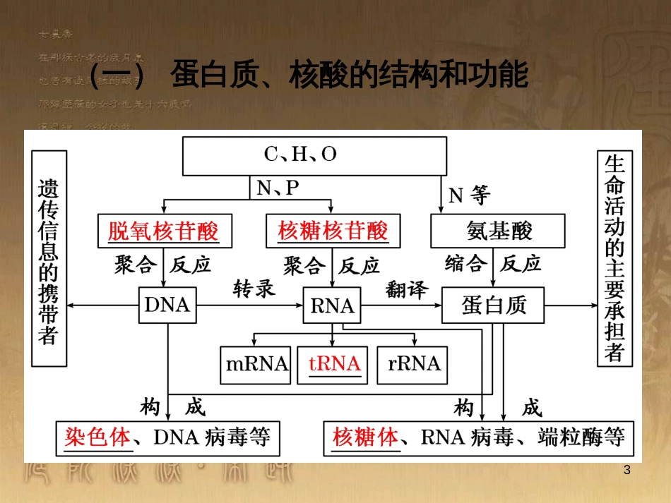 高三生物二轮复习 实验设计题的解题策略课件 (2)_第3页