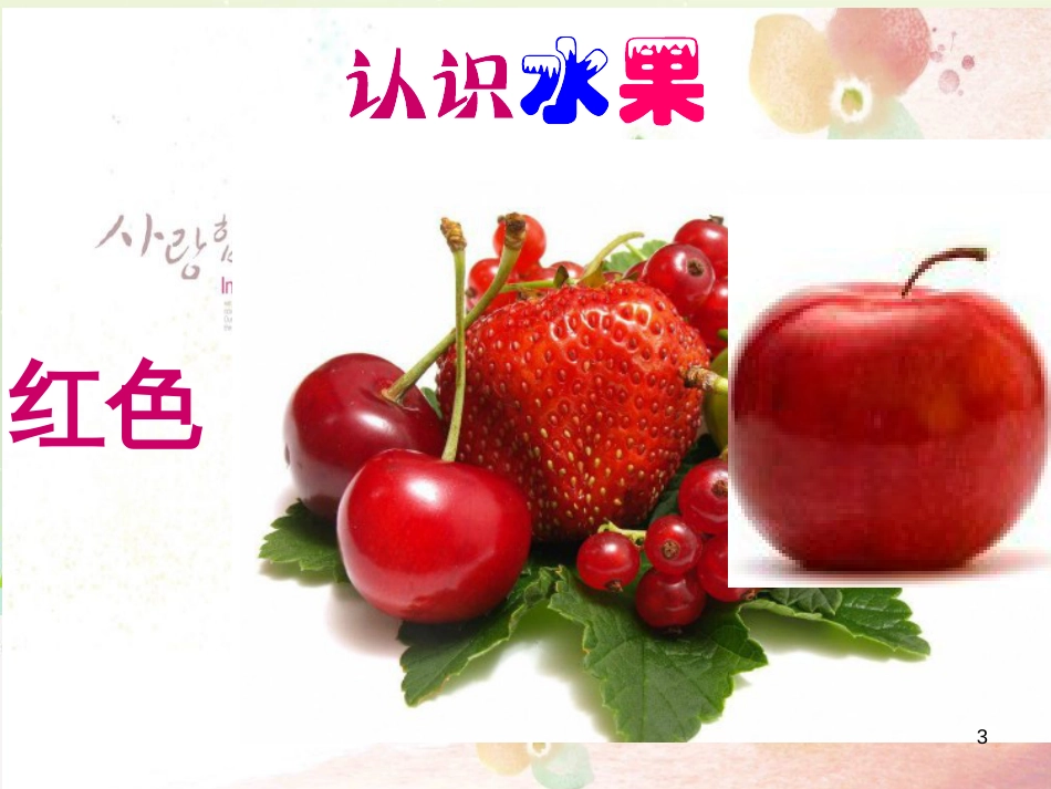 八年级生物下册 13.1 生物的分类课件1 北京版 (15)_第3页
