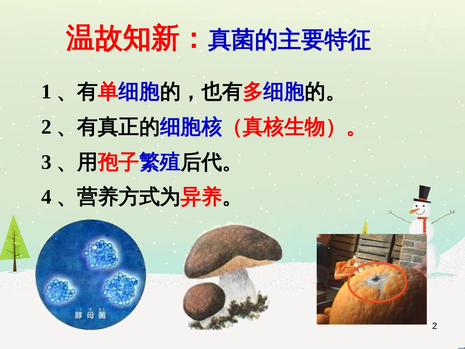 八年级生物上册 5.4.4《细菌和真菌在自然界中的作用》课件2 （新版）新人教版_第2页