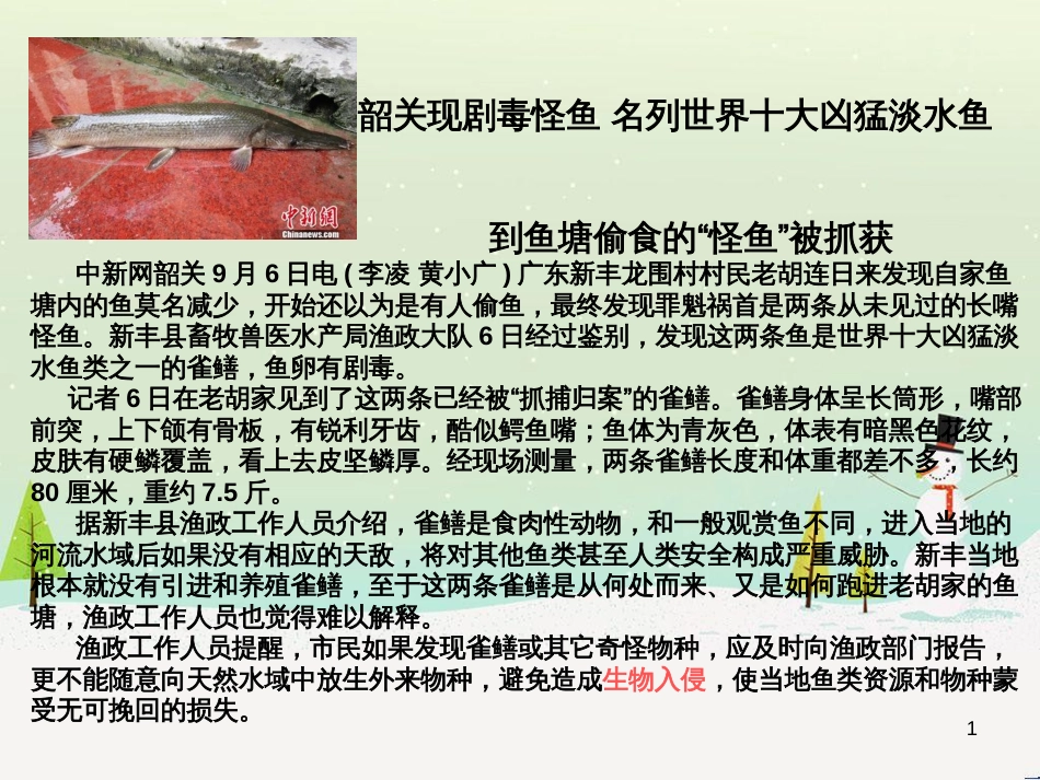 八年级物理上册 1.3《活动降落伞比赛》课件 （新版）教科版 (3059)_第1页