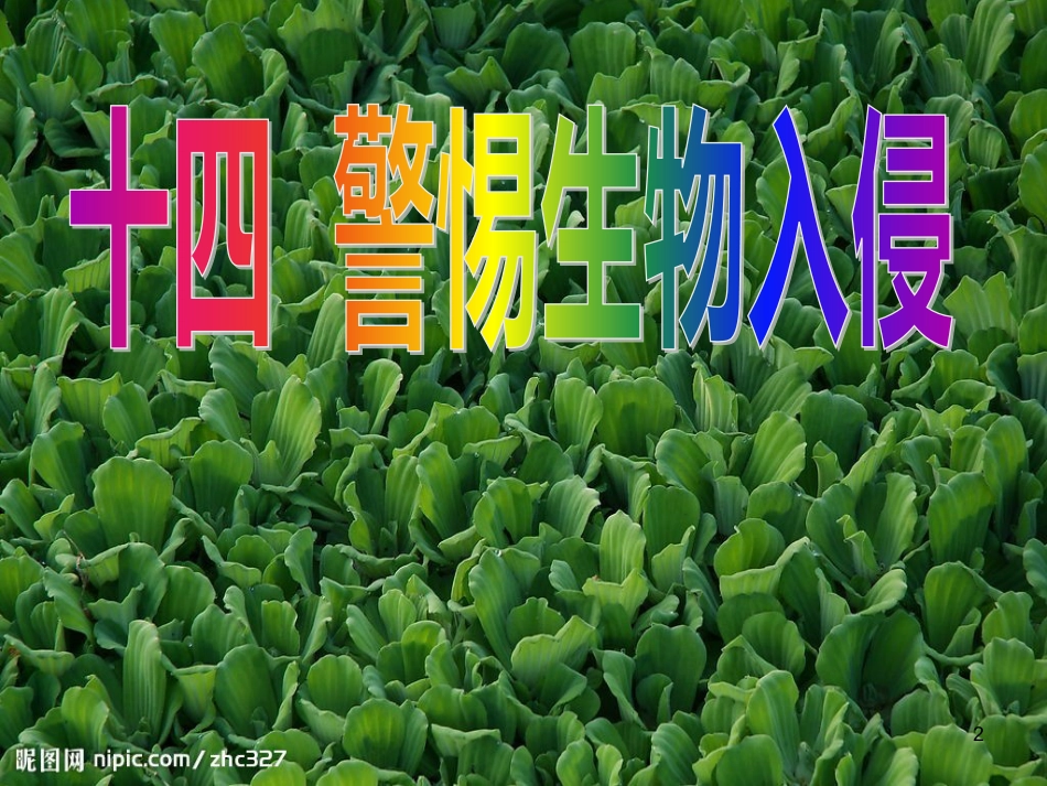 八年级物理上册 1.3《活动降落伞比赛》课件 （新版）教科版 (3059)_第2页
