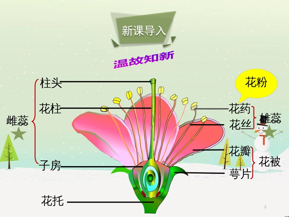 八年级生物上册 7.19.1《植物的生殖》课件1 （新版）苏科版_第2页