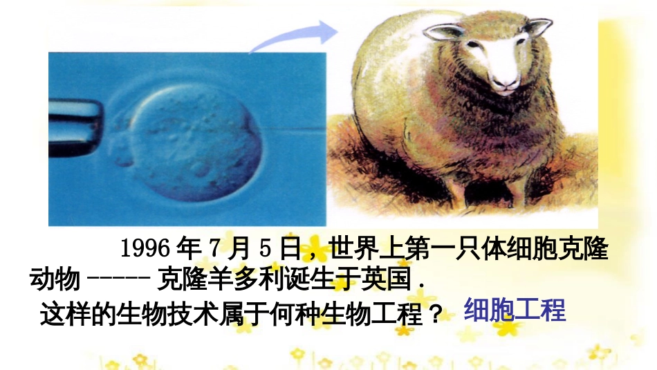 高中生物 专题2 细胞工程 2.1 植物细胞工程基本技术课件 新人教版选修3_第2页