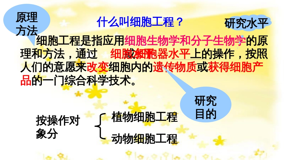 高中生物 专题2 细胞工程 2.1 植物细胞工程基本技术课件 新人教版选修3_第3页