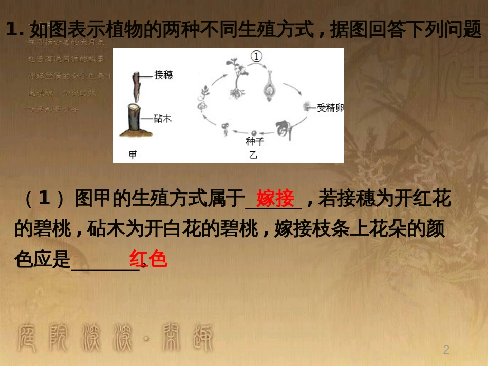 八年级生物下册 第二轮复习 生物圈中的人专题课件 新人教版 (22)_第2页