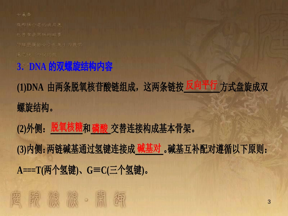 高考生物一轮复习 第八单元 生命活动的调节 第二讲 通过神经系统的调节课件 新人教版 (111)_第3页