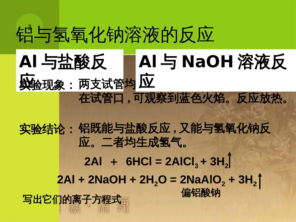 高中生物 第五章 基因突变及其他变异 5.3 人类遗传病课件 新人教版必修2 (23)_第3页