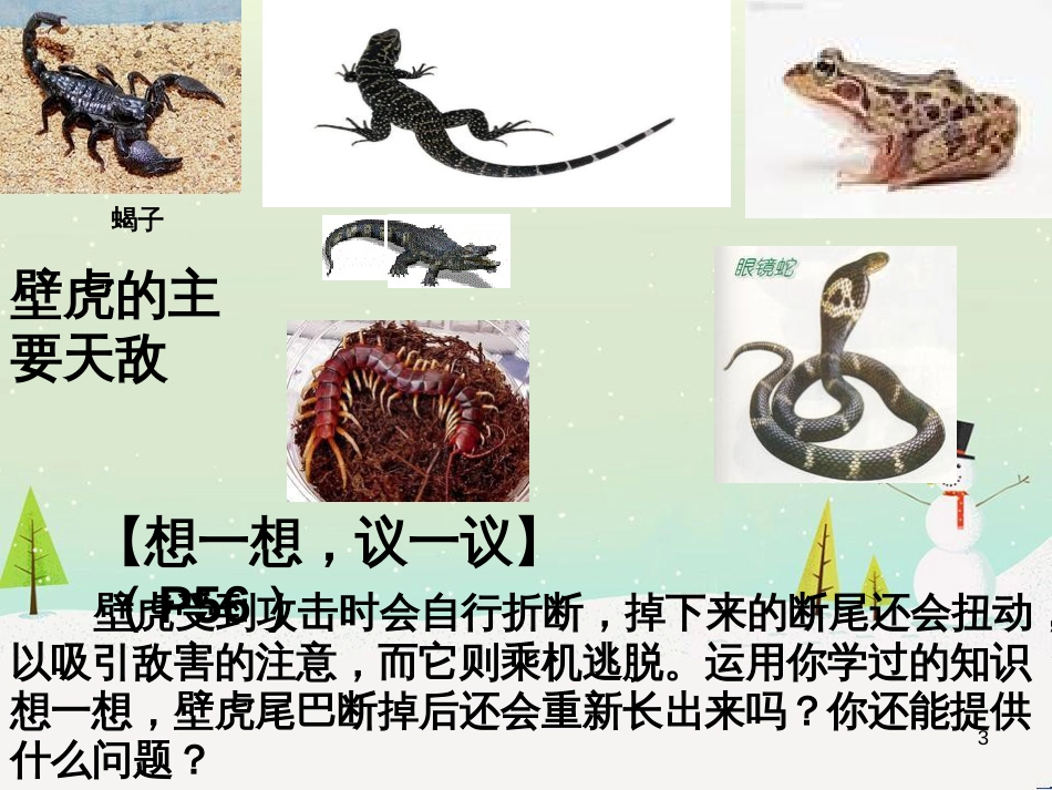 八年级物理上册 1.3《活动降落伞比赛》课件 （新版）教科版 (248)_第3页