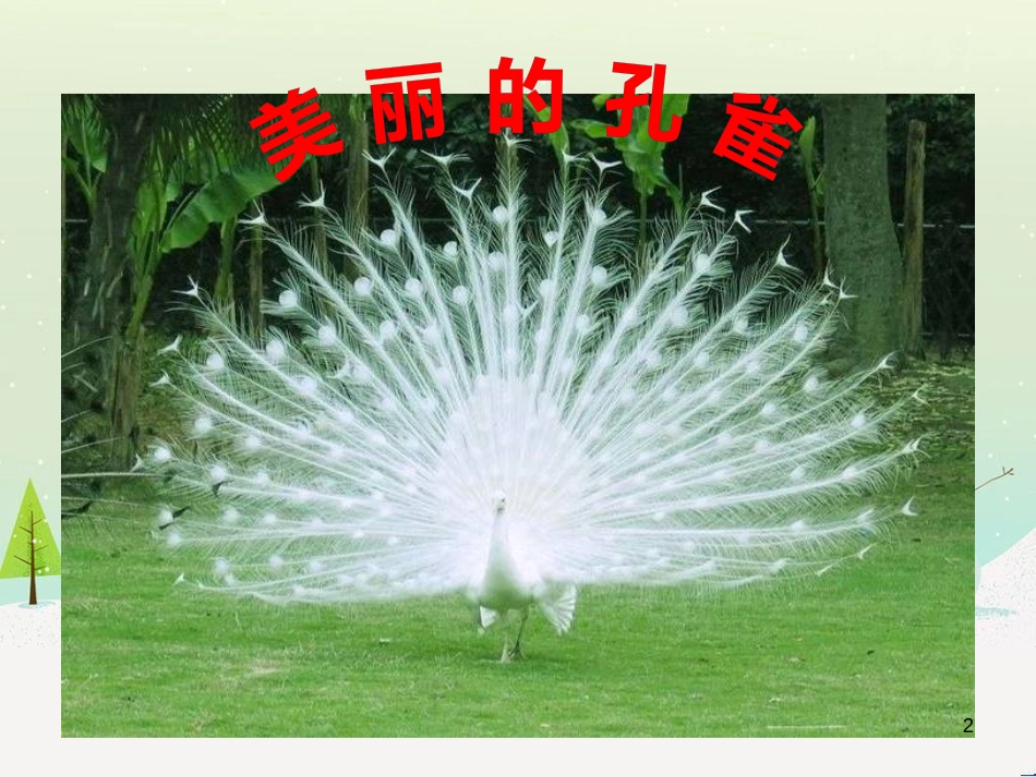 八年级生物下册 13.1 生物的分类课件1 北京版 (1258)_第2页