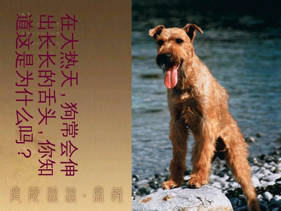 八年级物理上册 5.5 点击新材料课件 （新版）粤教沪版 (14)_第3页