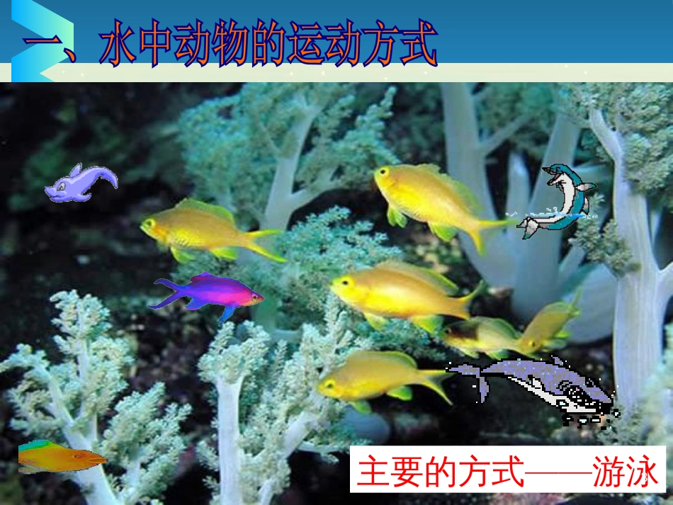 八年级生物上册 15.1《动物运动的方式》课件1 （新版）北师大版_第3页