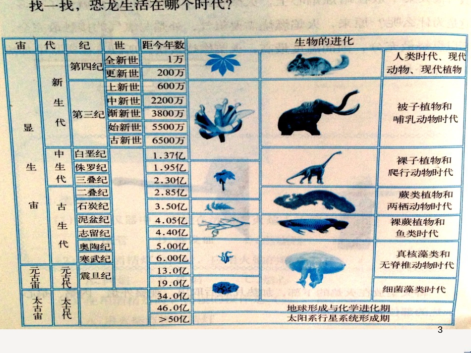 八年级生物下册 13.1 生物的分类课件1 北京版 (745)_第3页