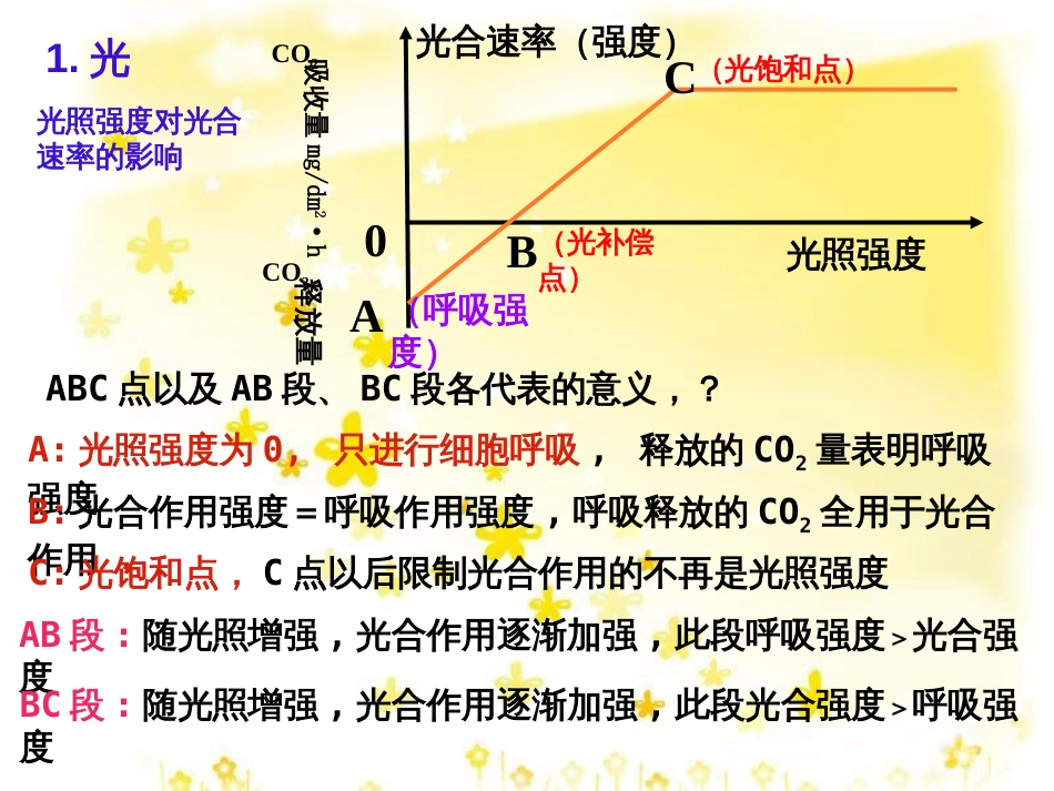 高中生物 第五章 细胞的能量供应和利用 5.4 光与光合作用（第3课时）教学课件 新人教版必修1_第3页