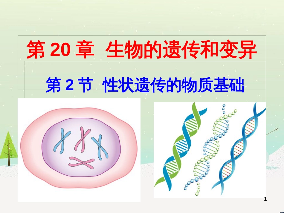 八年级生物上册 20.2《性状遗传的物质基础》课件3 （新版）北师大版_第1页