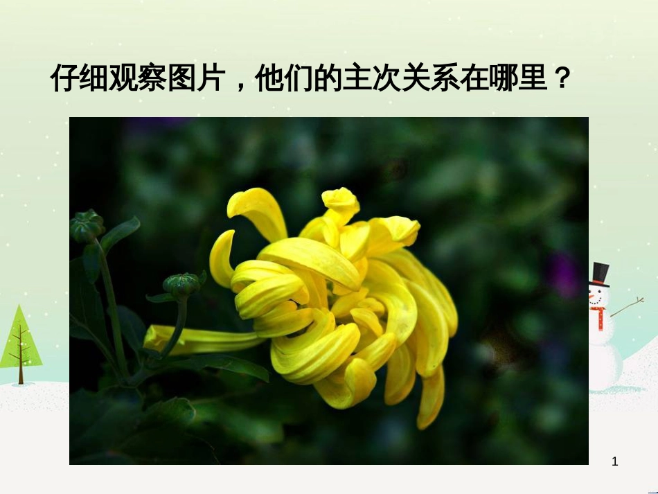 八年级生物下册 13.1 生物的分类课件1 北京版 (394)_第1页
