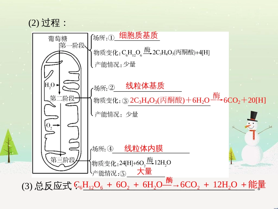 高考地理 技法点拨——气候 1 (584)_第3页