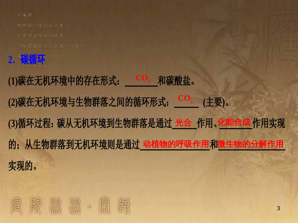 高考生物一轮复习 第八单元 生命活动的调节 第二讲 通过神经系统的调节课件 新人教版 (116)_第3页