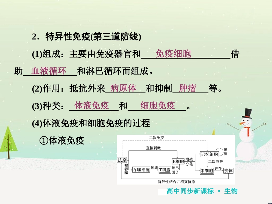 高中地理 第二章 第二节 森林的开发和保护——以亚马孙热带雨林为例课件 新人教版必修3 (232)_第3页