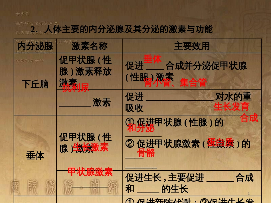 高考生物一轮复习 第二单元 基因的本质与表达 第1讲 DNA是主要的遗传物质课件（必修2） (20)_第3页