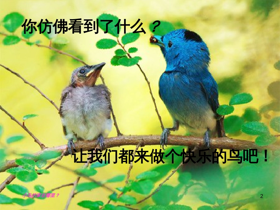 八年级生物下册 13.1 生物的分类课件1 北京版 (1242)_第2页