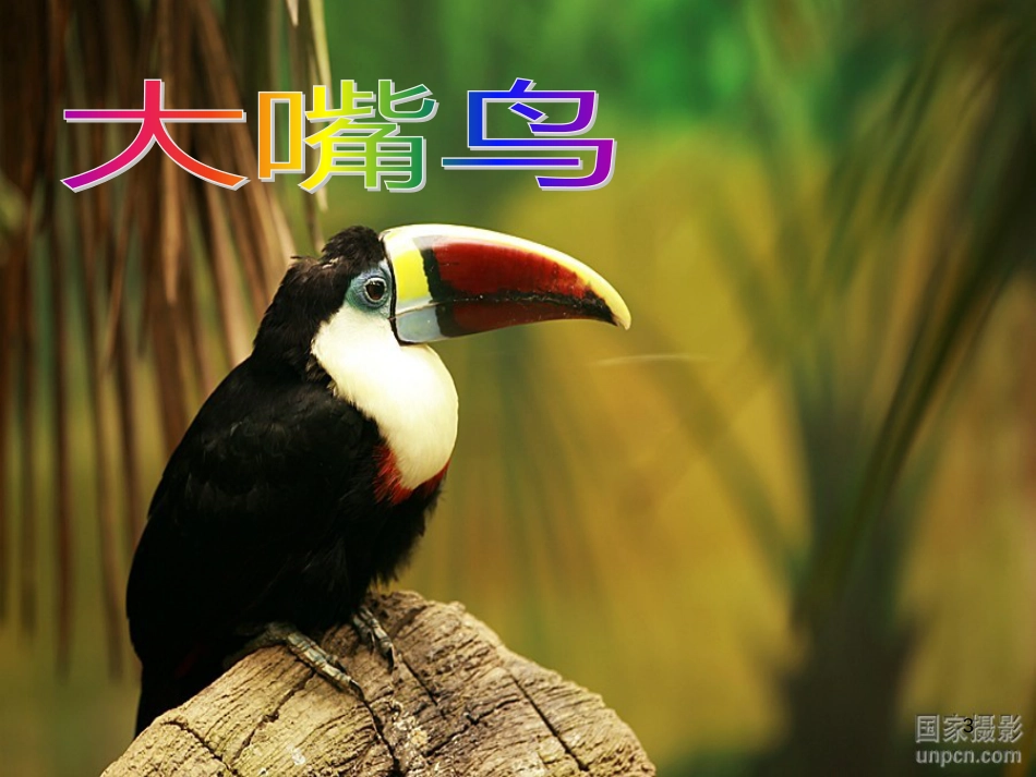 八年级生物下册 13.1 生物的分类课件1 北京版 (1242)_第3页