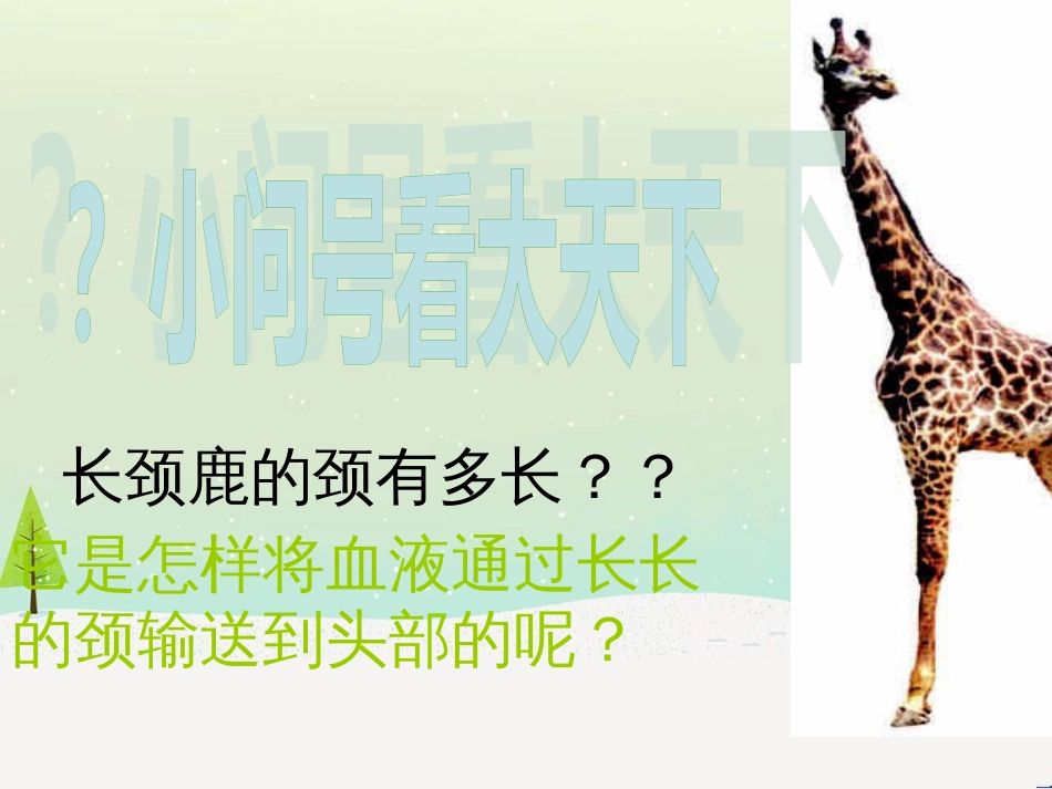 八年级生物上册 5.3《动物在生物圈中的作用》课件2 （新版）新人教版_第1页