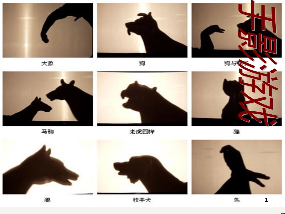八年级生物下册 13.1 生物的分类课件1 北京版 (359)_第1页