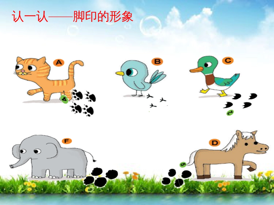 八年级生物下册 13.1 生物的分类课件1 北京版 (1251)_第3页
