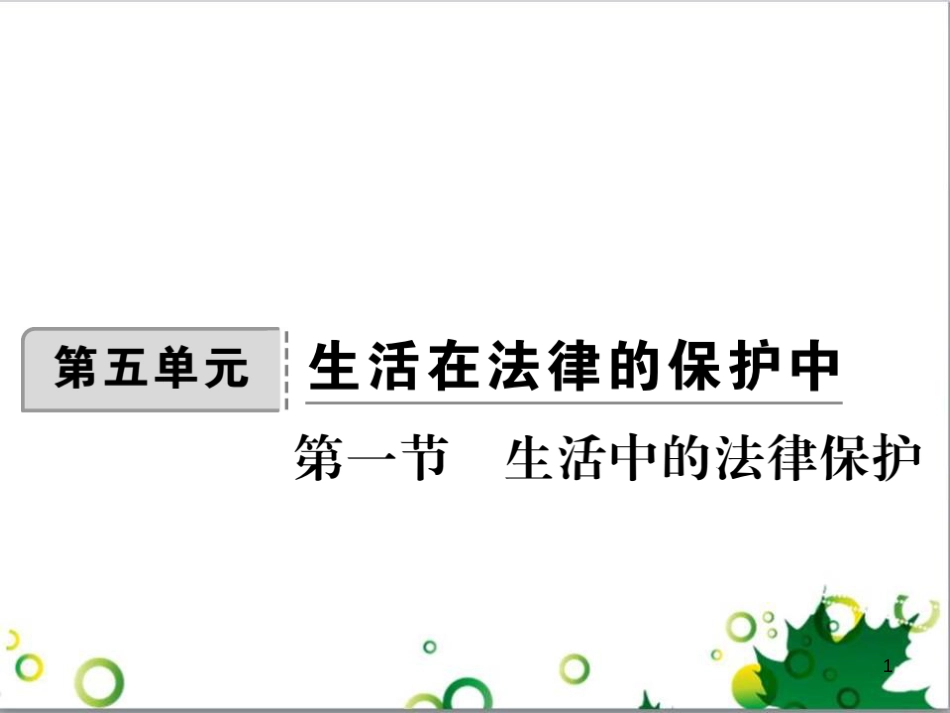 八年级政治上册 第五单元 生活在法律的保护中 第一节 生活中的法律保护课件 湘教版_第1页
