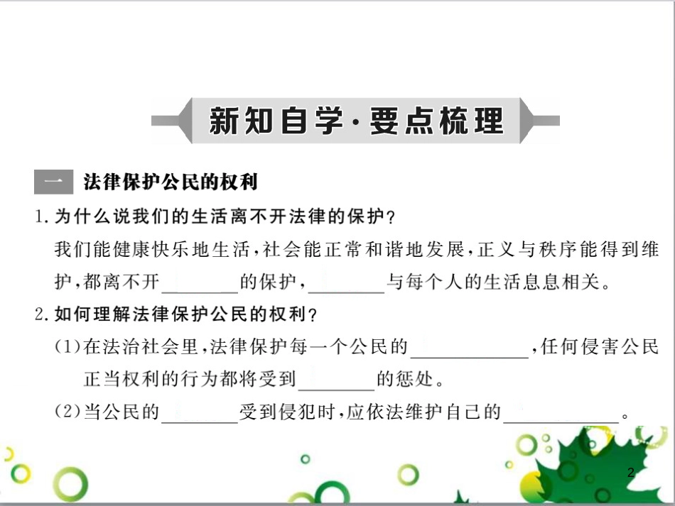 八年级政治上册 第五单元 生活在法律的保护中 第一节 生活中的法律保护课件 湘教版_第2页