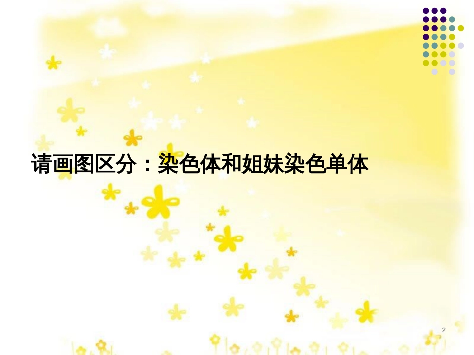 高中生物 第二章 基因和染色体的关系 2.1.1 减数分裂教学课件 新人教版必修2_第2页