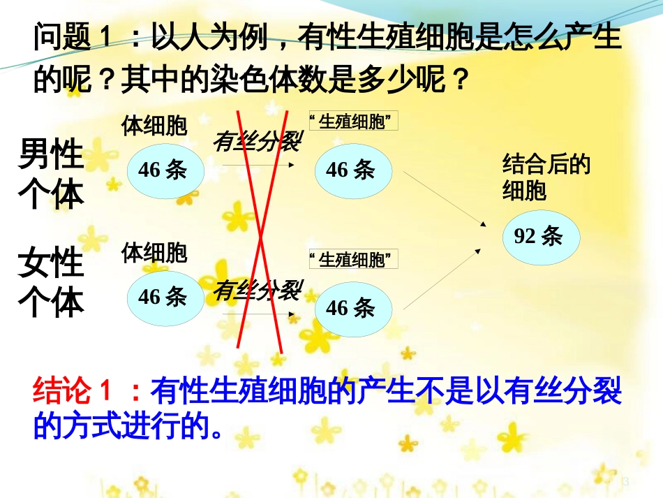 高中生物 第二章 基因和染色体的关系 2.1.1 减数分裂教学课件 新人教版必修2_第3页