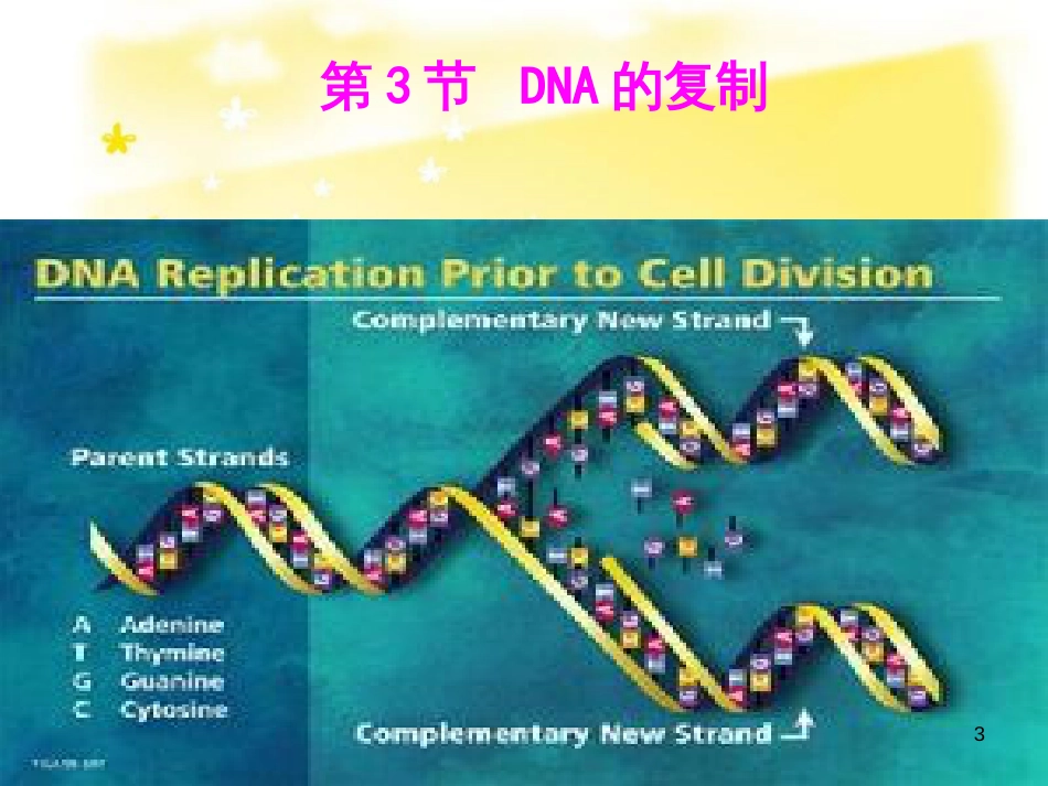 高中生物 第三章 基因的本质 3.3 DNA分子的复制教学课件 新人教版必修2_第3页