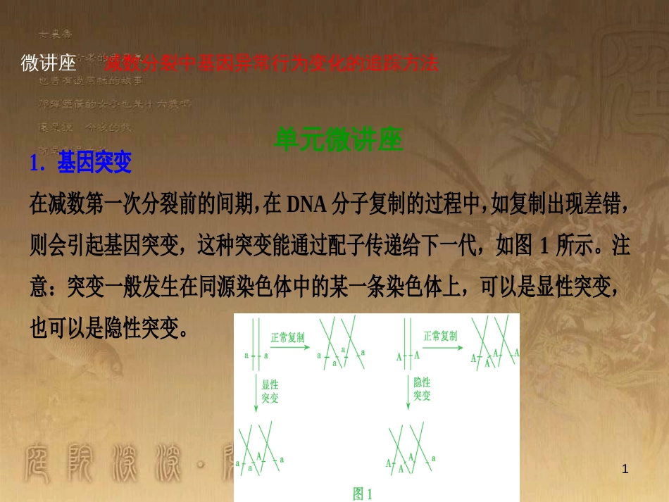 高考生物一轮复习 第八单元 生命活动的调节 第二讲 通过神经系统的调节课件 新人教版 (84)_第1页