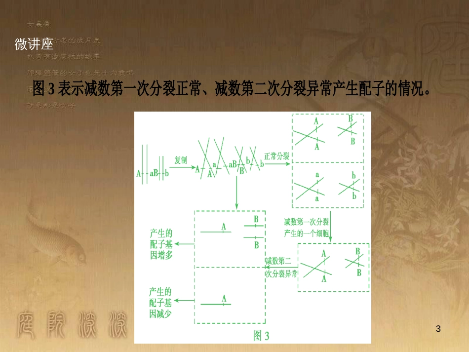 高考生物一轮复习 第八单元 生命活动的调节 第二讲 通过神经系统的调节课件 新人教版 (84)_第3页