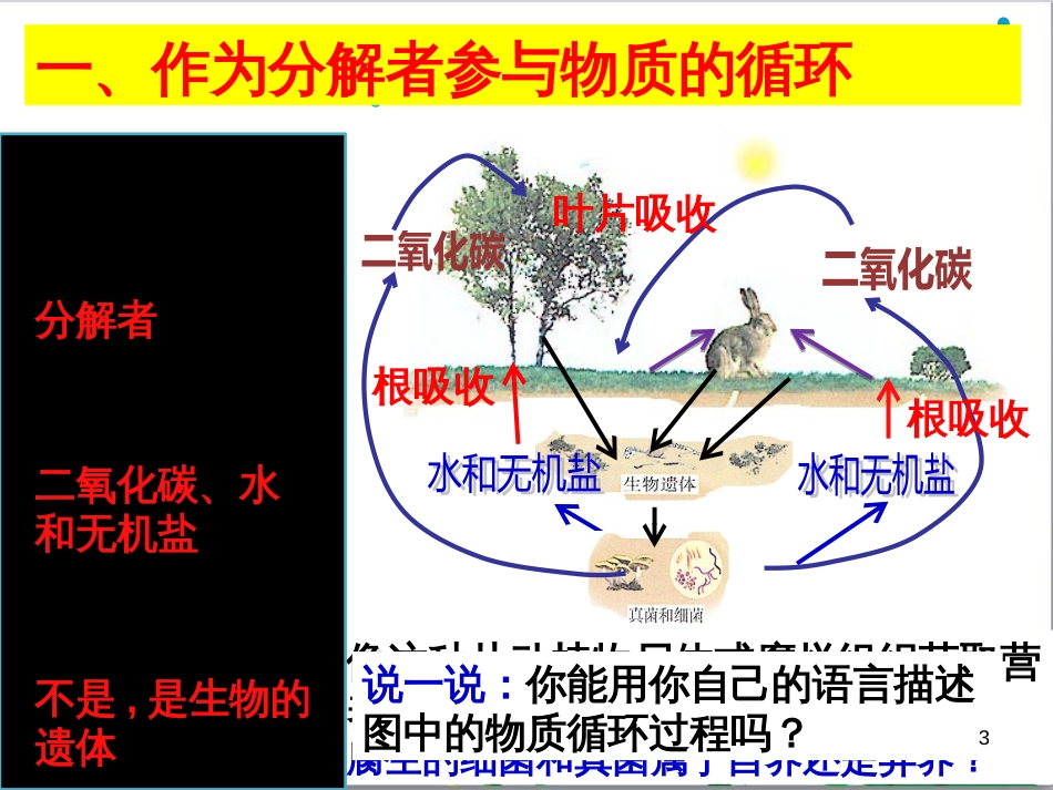 八年级生物上册 5.4.4 细菌和真菌在自然界中的作用课件 （新版）新人教版_第3页