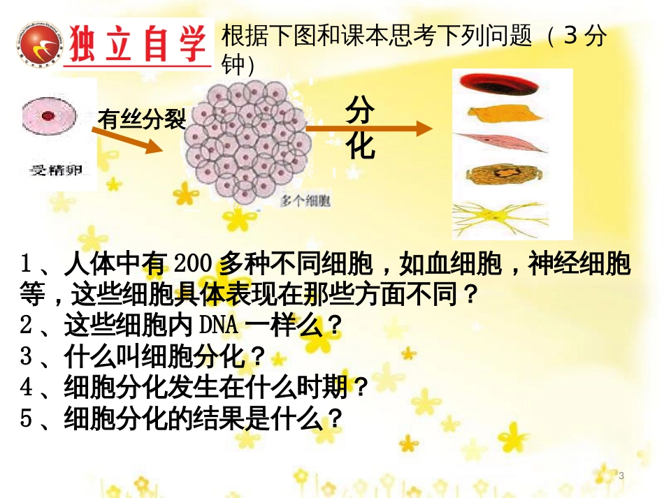 高中生物 第六章 细胞的生命历程 6.2 细胞的分化课件 新人教版必修1_第3页