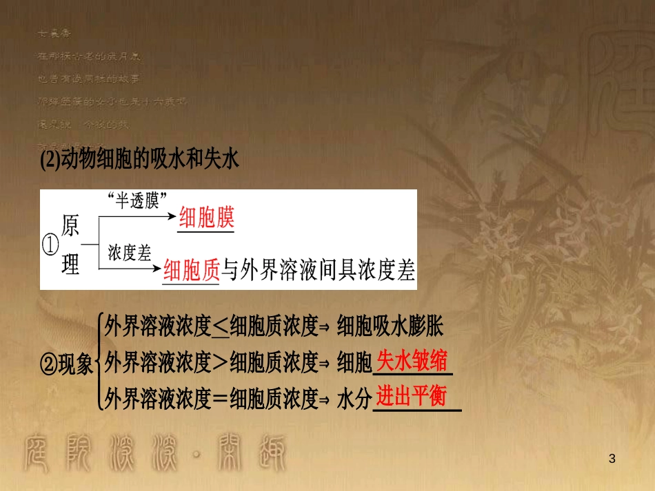 高考生物一轮复习 第八单元 生命活动的调节 第二讲 通过神经系统的调节课件 新人教版 (122)_第3页