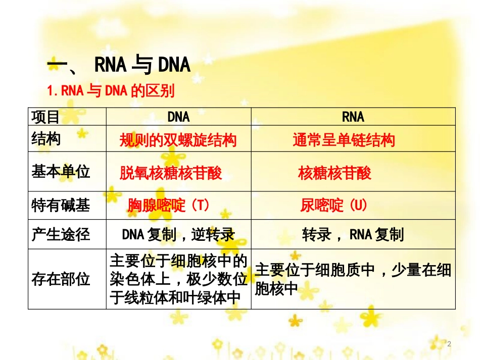 高中生物 第4章 达基因的表达复习课件 新人教版必修2_第2页