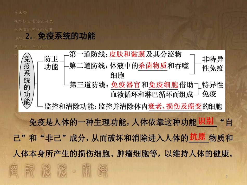 高考生物一轮复习 第二单元 基因的本质与表达 第1讲 DNA是主要的遗传物质课件（必修2） (18)_第3页