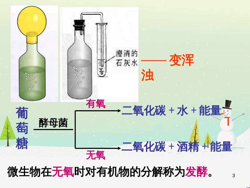 八年级生物上册 5.4.5人类对细菌和真菌的利用课件 （新版）新人教版_第3页