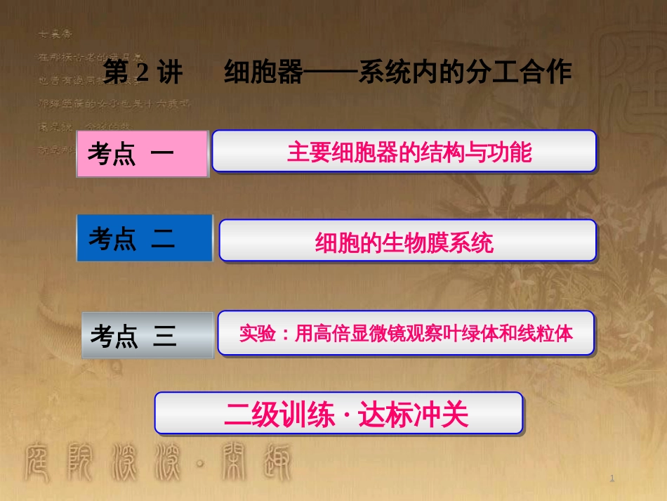 高考生物一轮复习 第二单元 基因的本质与表达 第1讲 DNA是主要的遗传物质课件（必修2） (42)_第1页