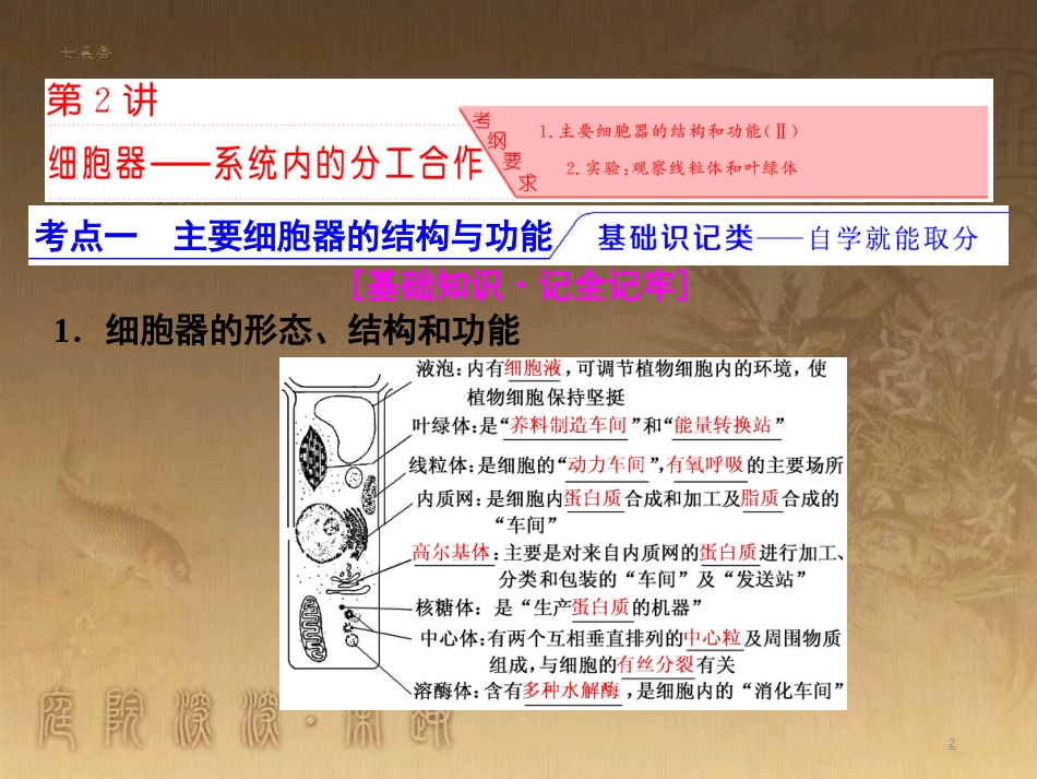 高考生物一轮复习 第二单元 基因的本质与表达 第1讲 DNA是主要的遗传物质课件（必修2） (42)_第2页