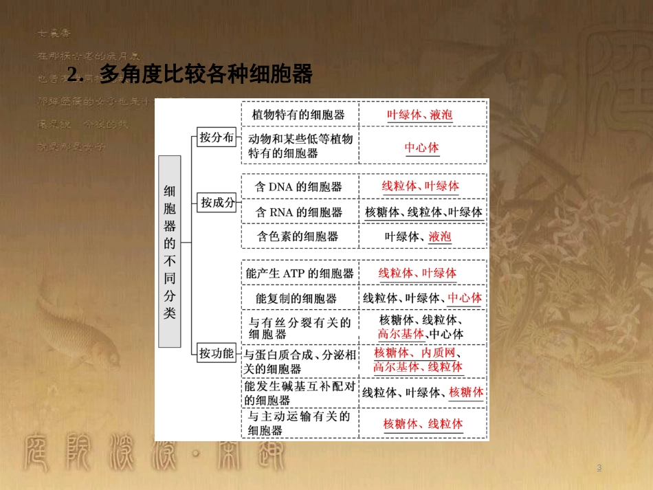 高考生物一轮复习 第二单元 基因的本质与表达 第1讲 DNA是主要的遗传物质课件（必修2） (42)_第3页