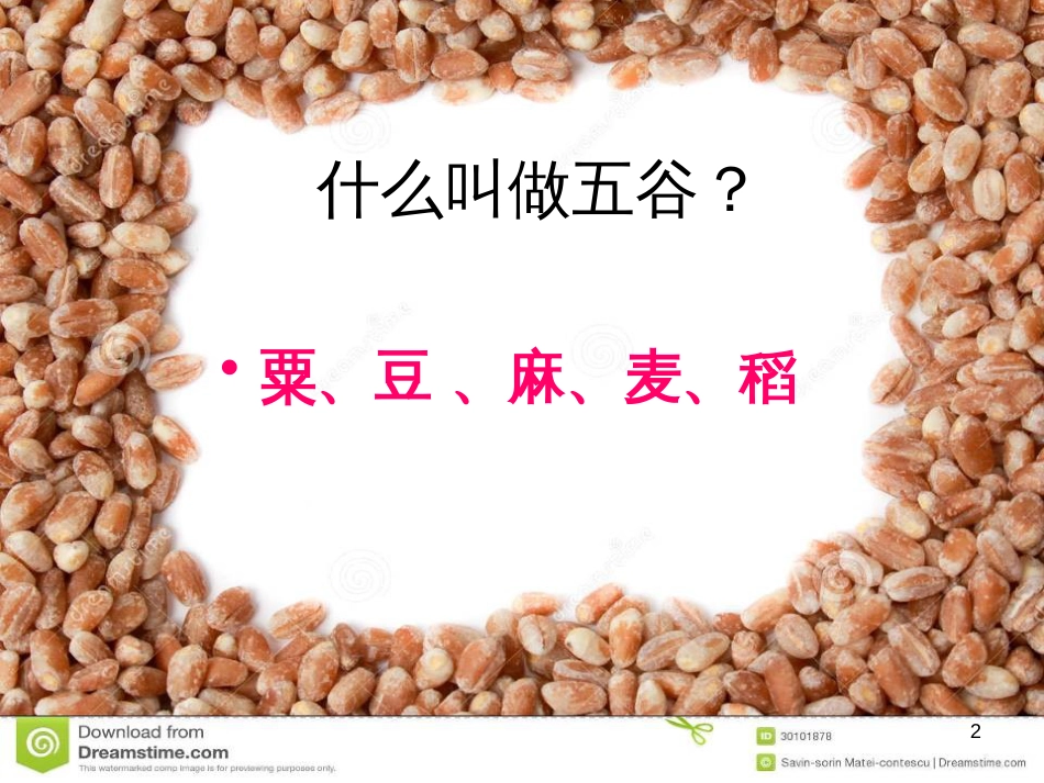 八年级生物下册 13.1 生物的分类课件1 北京版 (399)_第2页