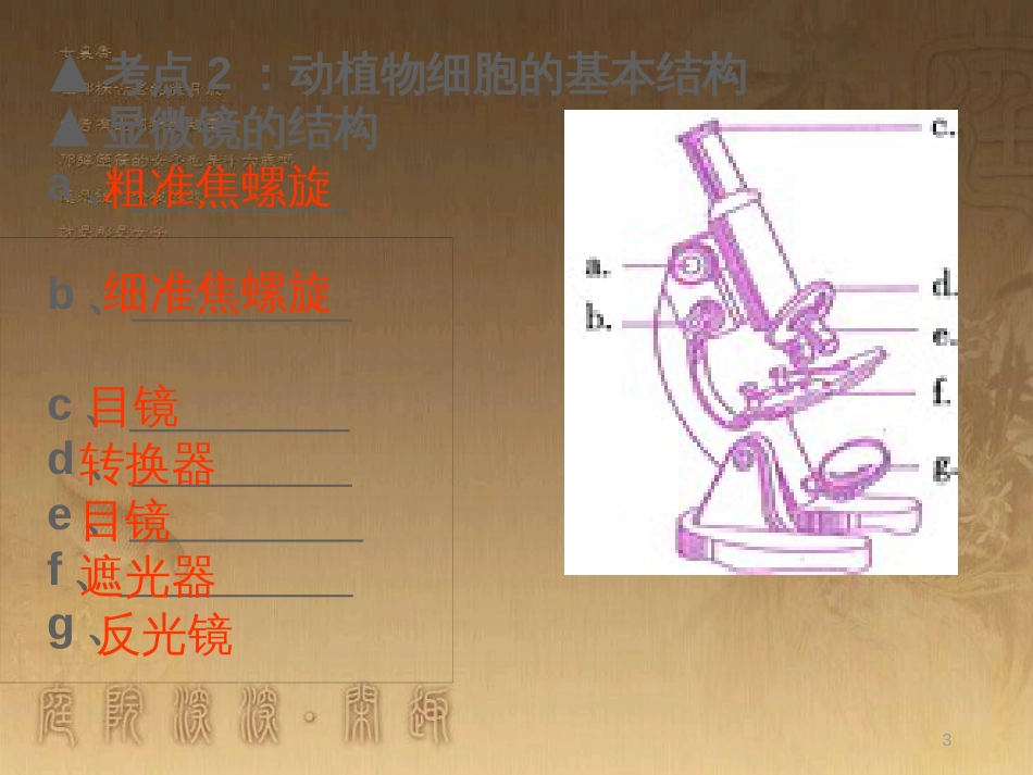 八年级生物下册 第二轮复习 生物圈中的人专题课件 新人教版 (16)_第3页