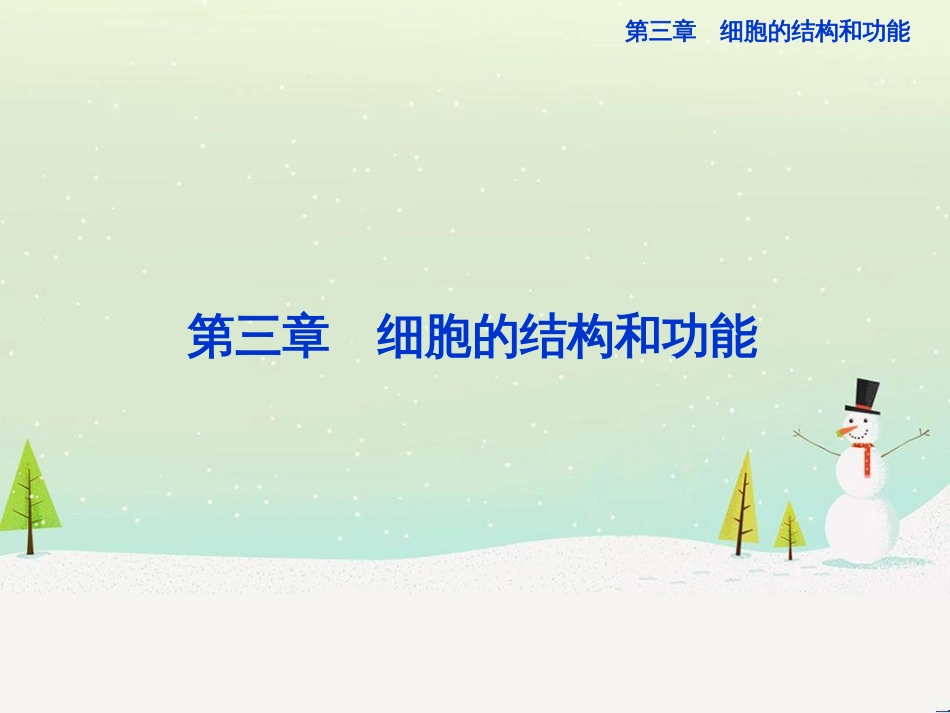 高中地理 第二章 第二节 森林的开发和保护——以亚马孙热带雨林为例课件 新人教版必修3 (213)_第1页