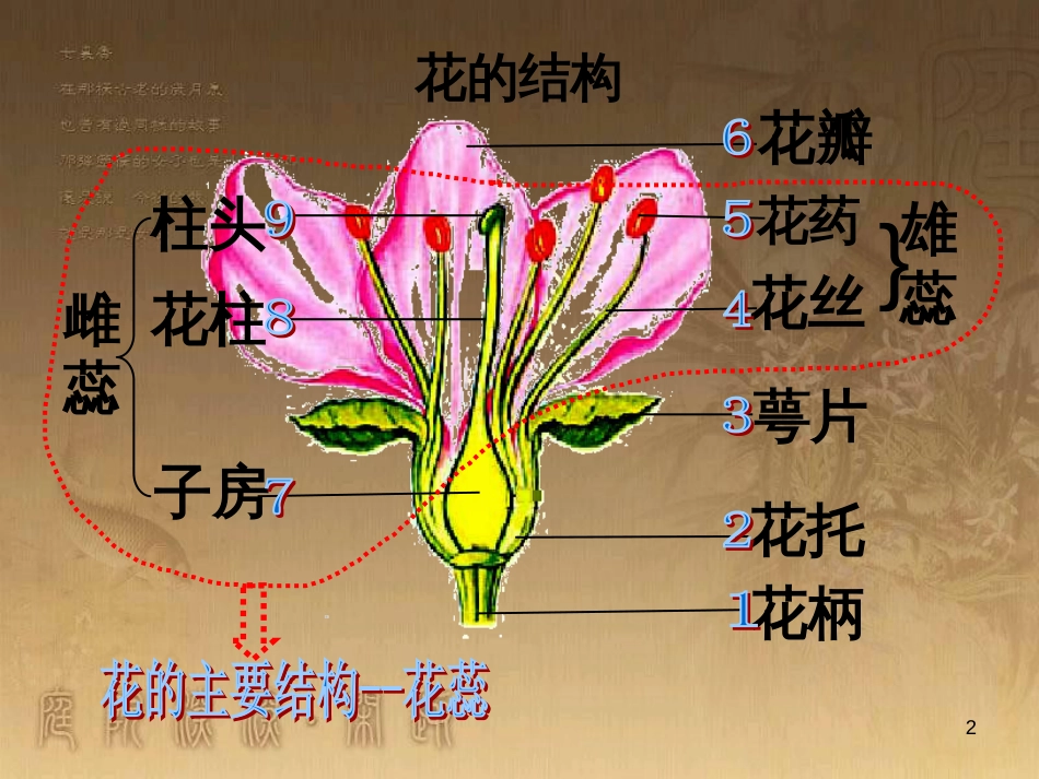 八年级生物下册 第二轮复习 生物圈中的人专题课件 新人教版 (5)_第2页