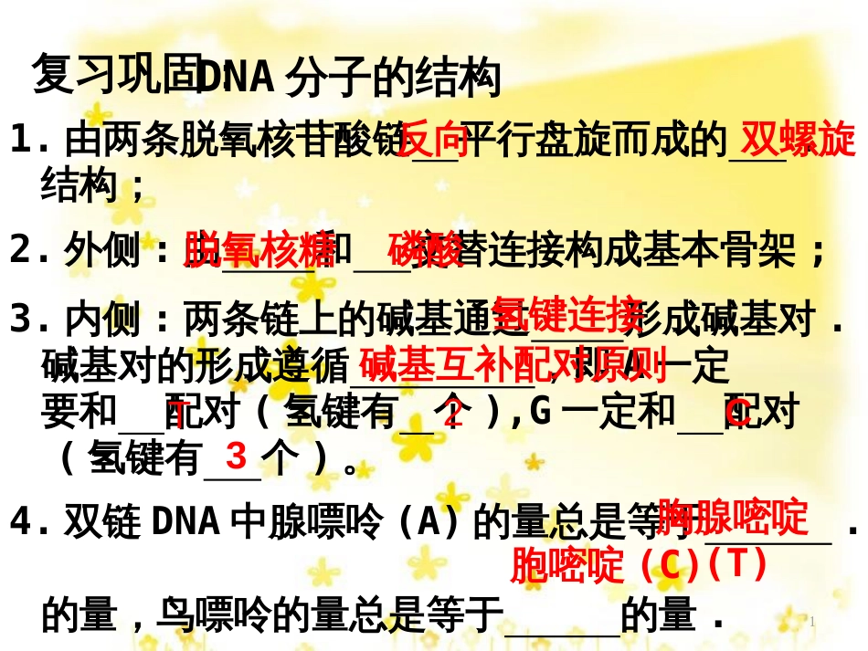 高中生物 3.3 DNA的复制课件 新人教版必修2_第1页