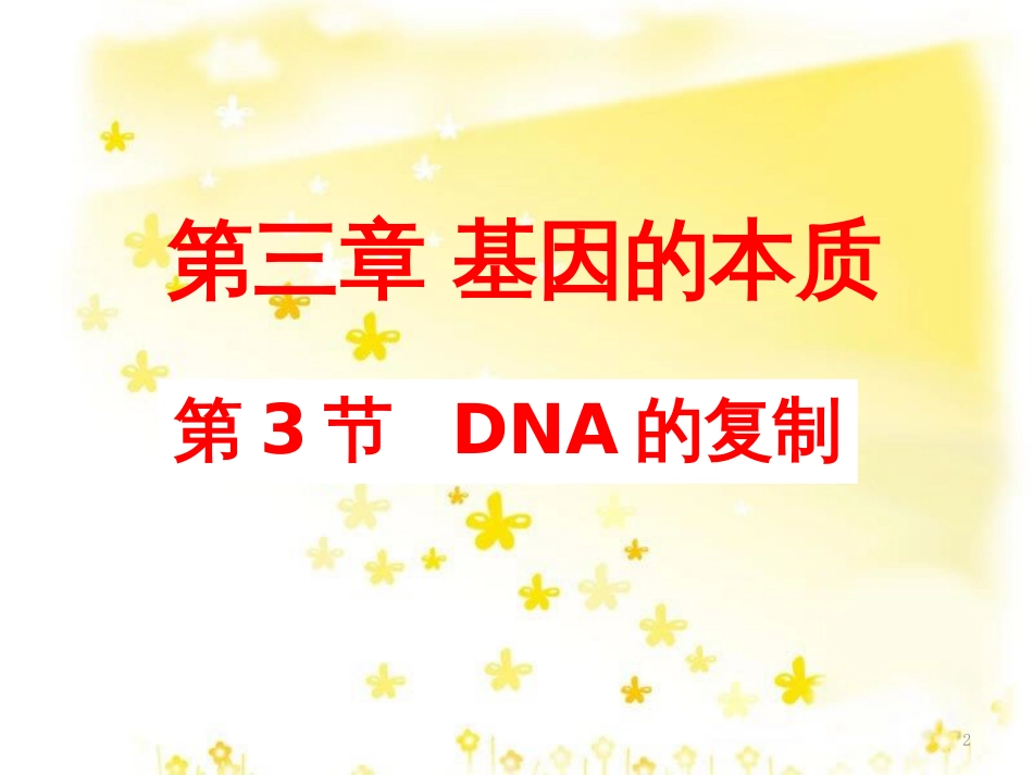 高中生物 3.3 DNA的复制课件 新人教版必修2_第2页